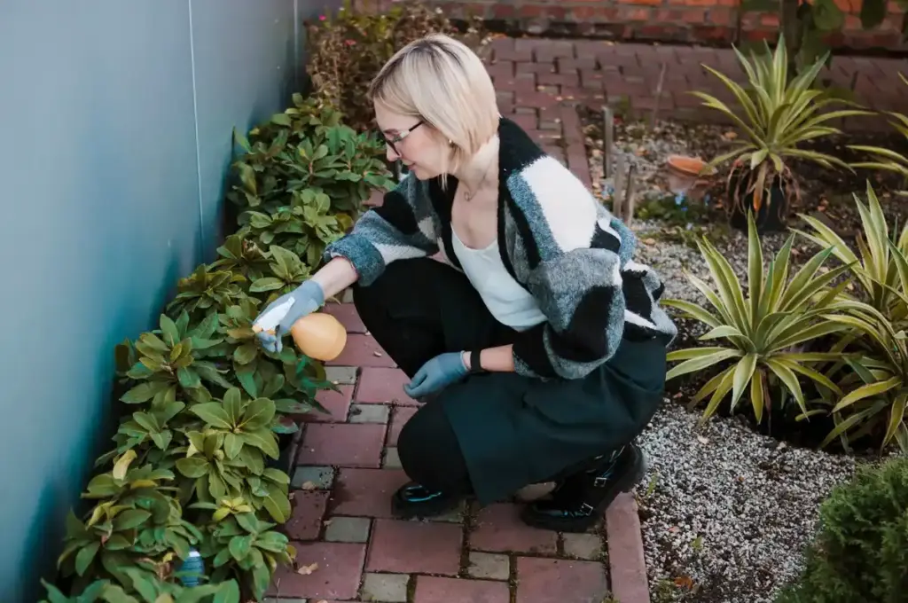 dutch garden overwatering mistake drought summer cost