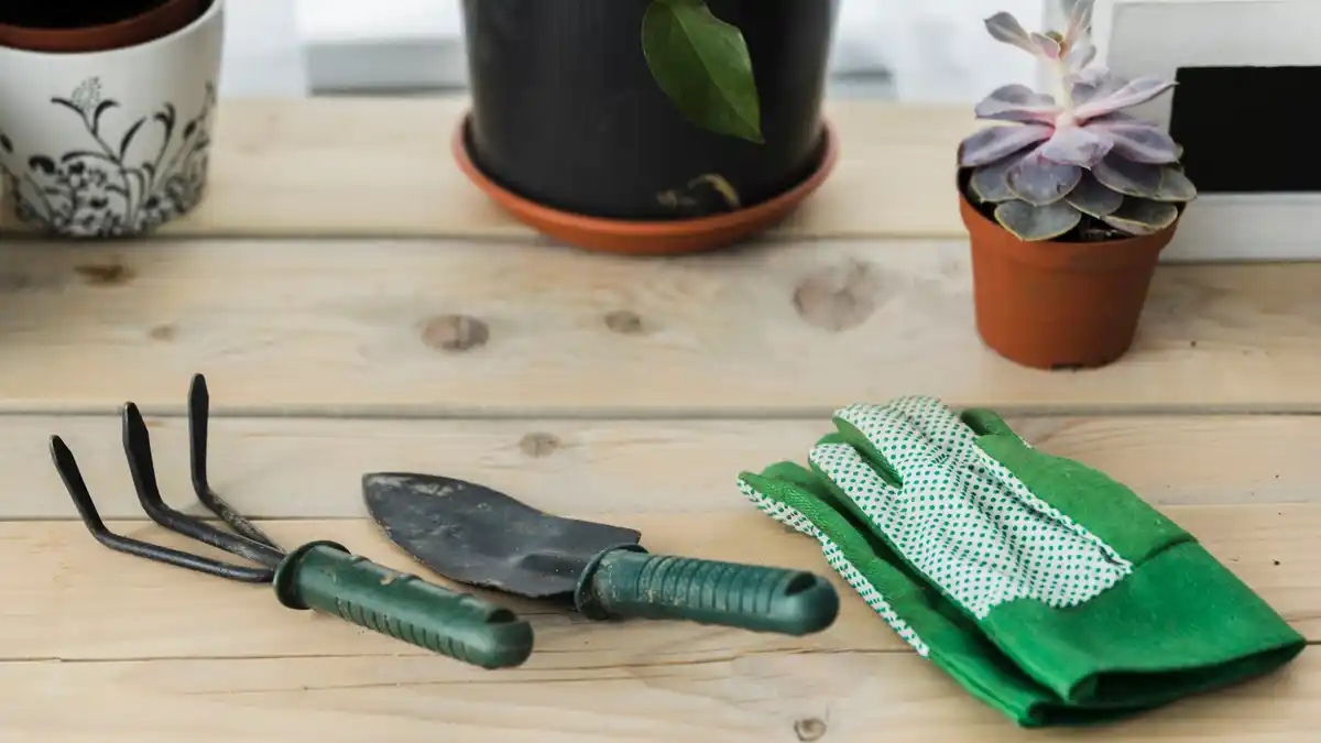 rusty garden tool cleaning vinegar