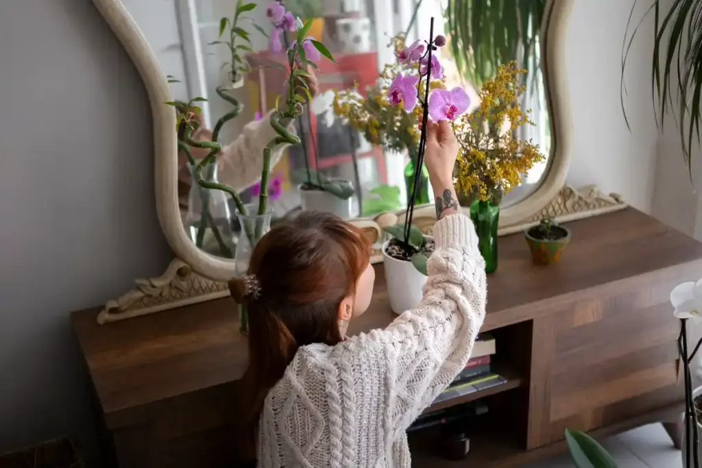 urban houseplants Dutch home sunlight window test