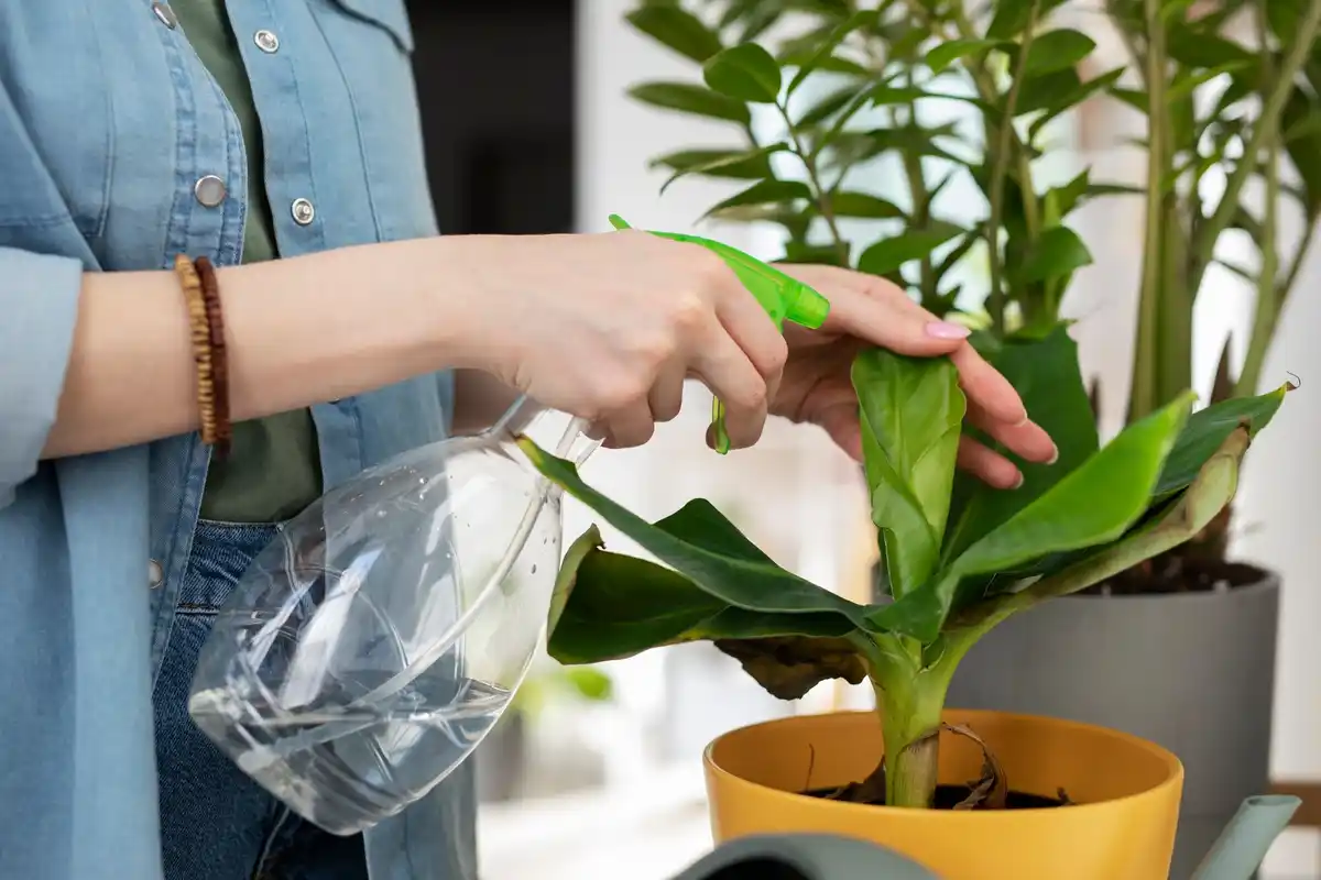 droge kamerplant potgrond moisture finger test