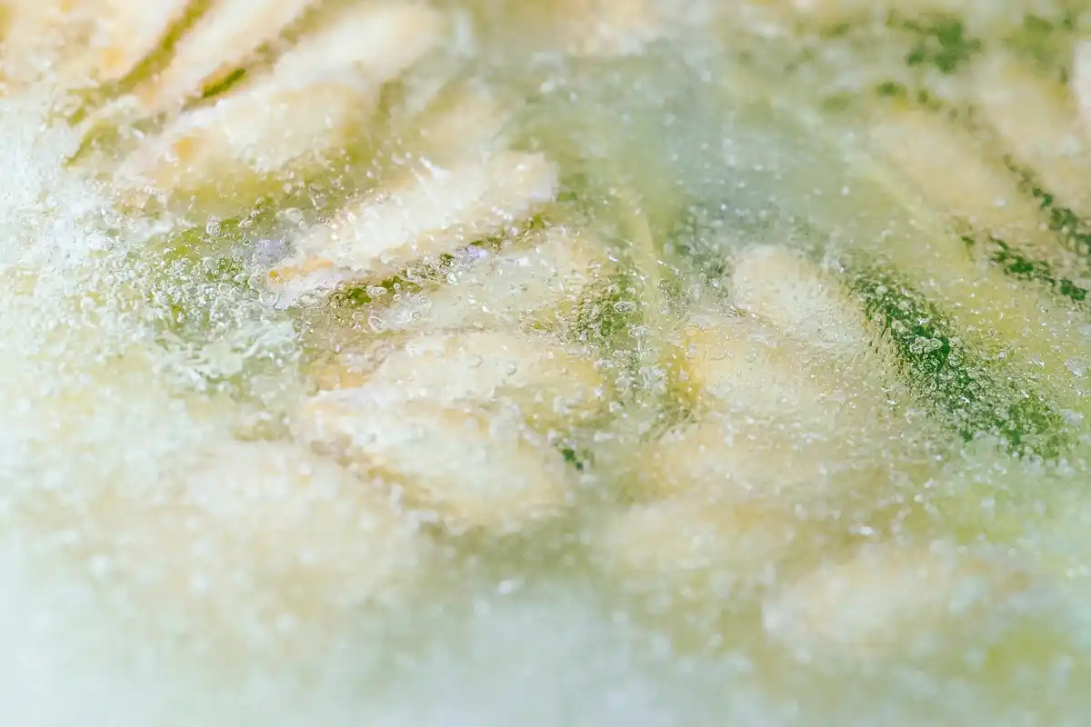 overheated tomato greenhouse closeup