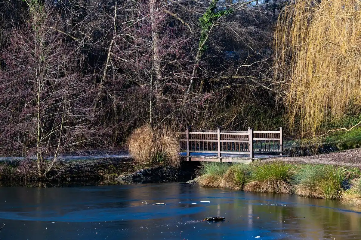 mediterranean garden winter Netherlands