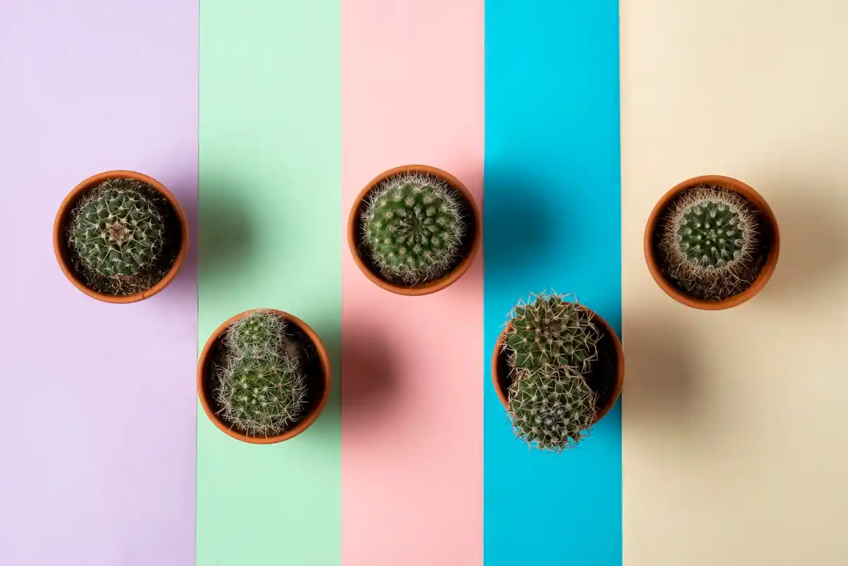 unusual ugly indoor plant dutch trend