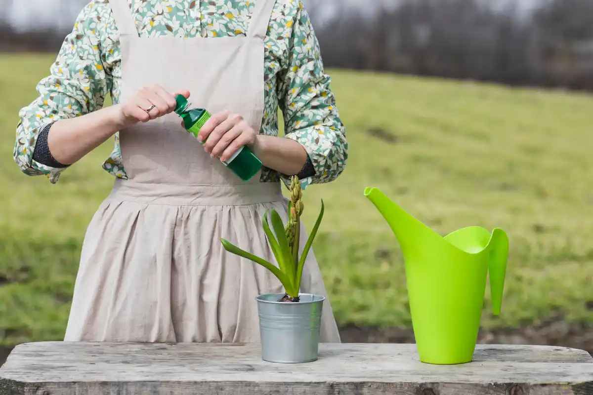 homemade plant care watering aspirin Netherlands