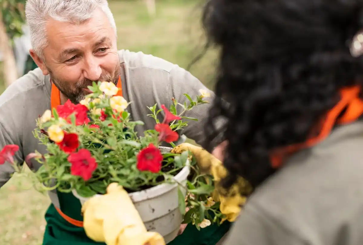elderly dutch couple gardening together backyard flowers