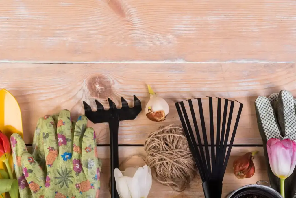 feng shui garden shed tool organization