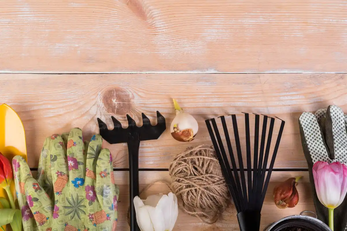 feng shui garden shed tool organization