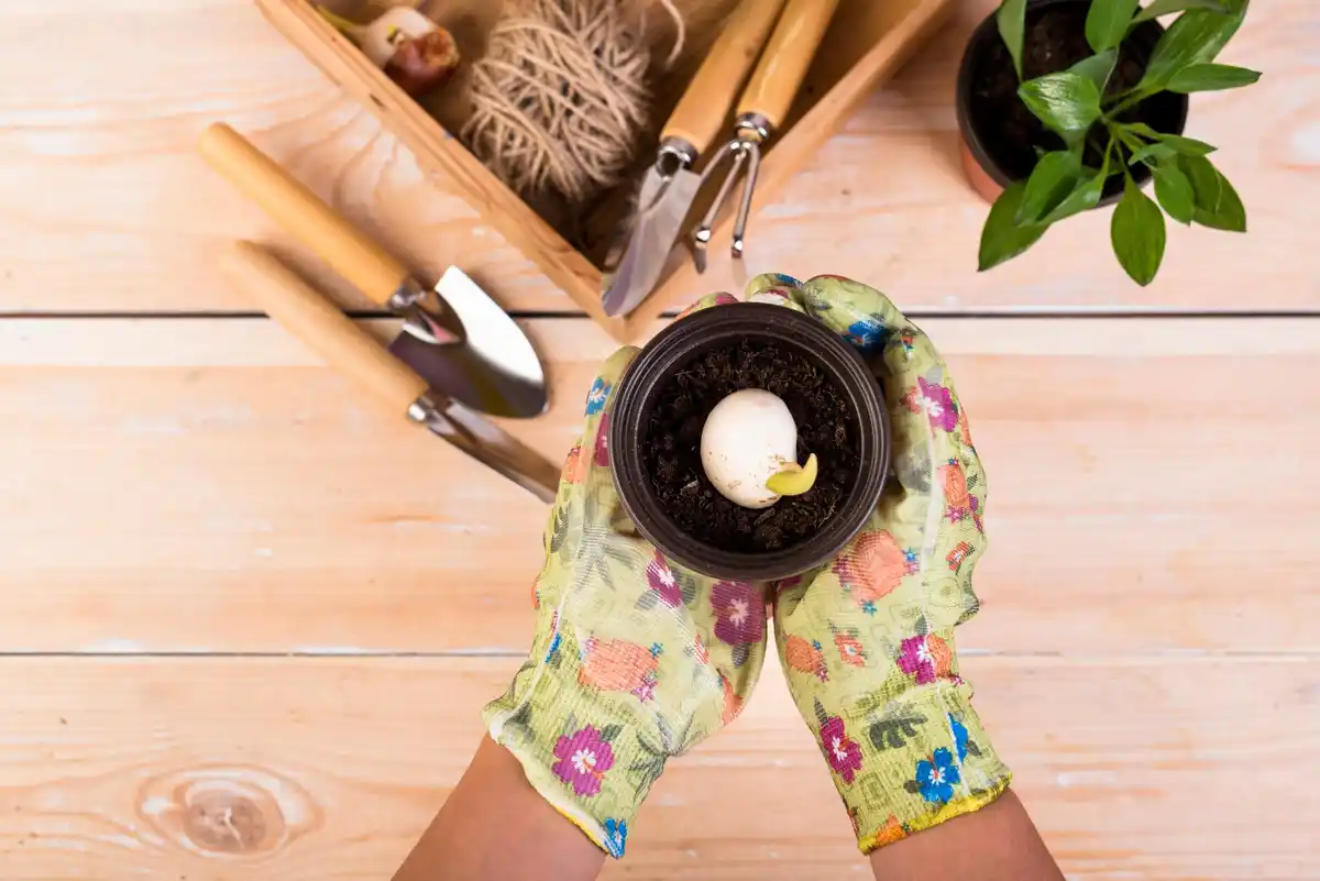 feng shui tool organization in garden shed
