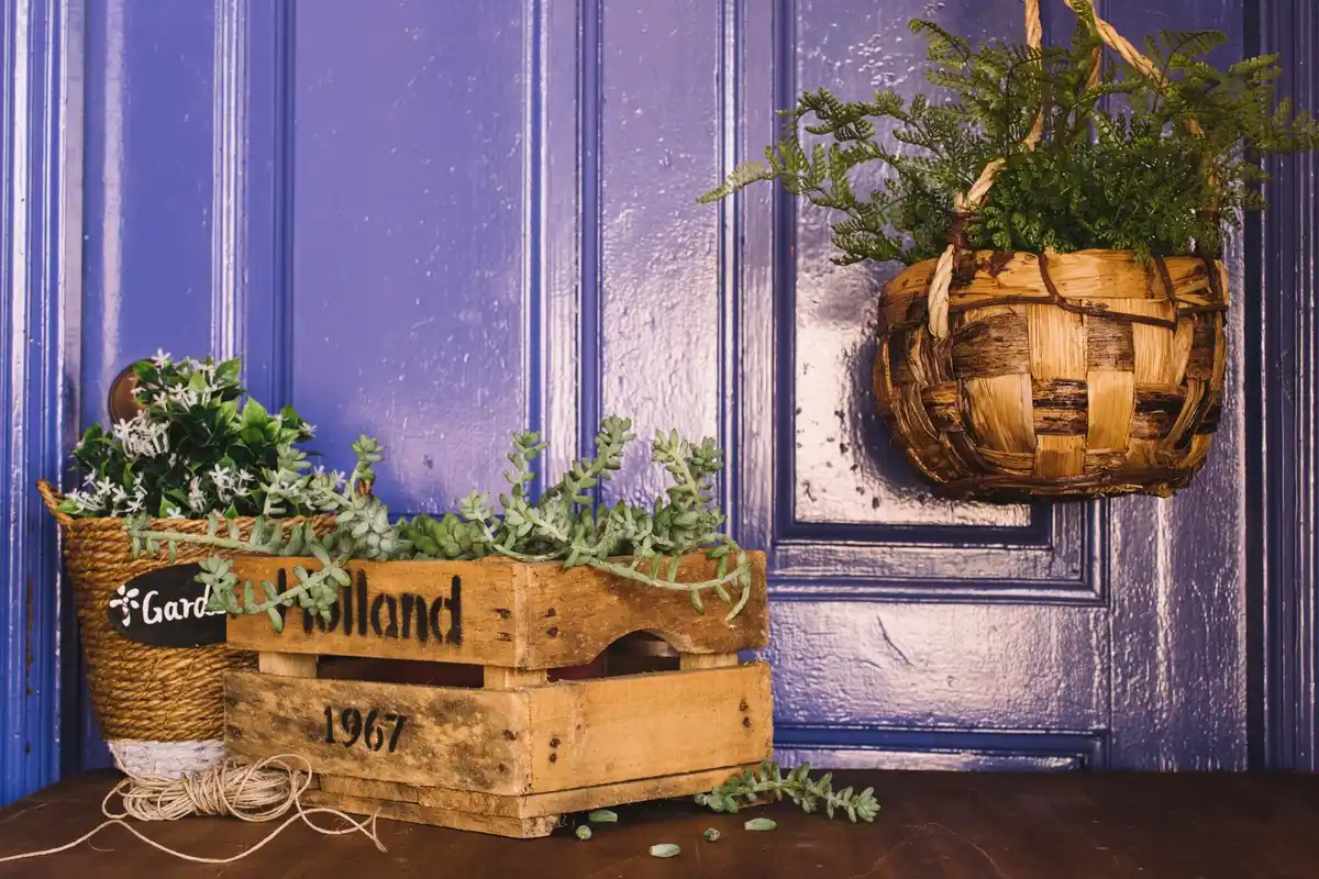 organized Dutch garden shed interior