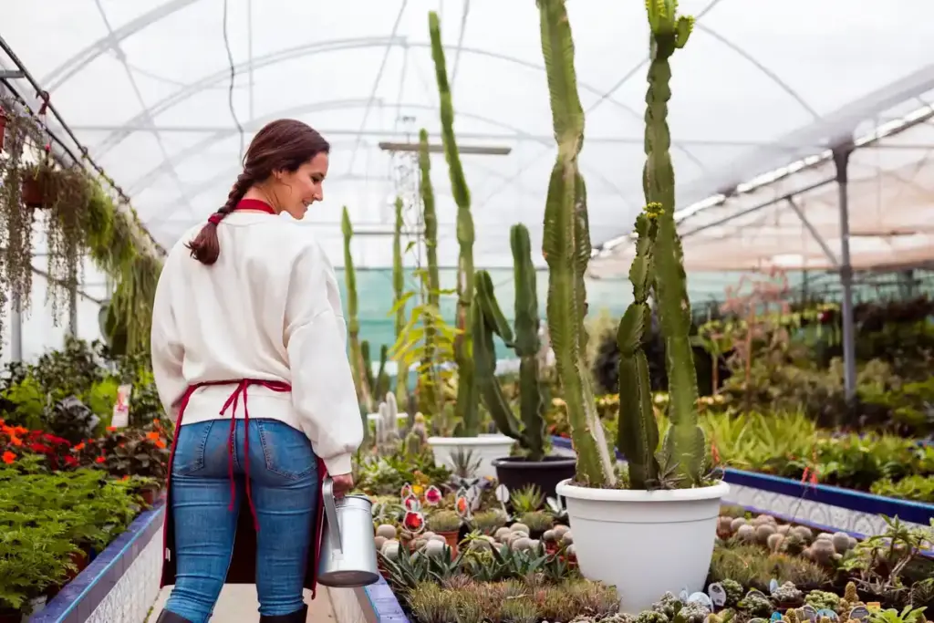 dutch greenhouse ventilation mistake wilted plants