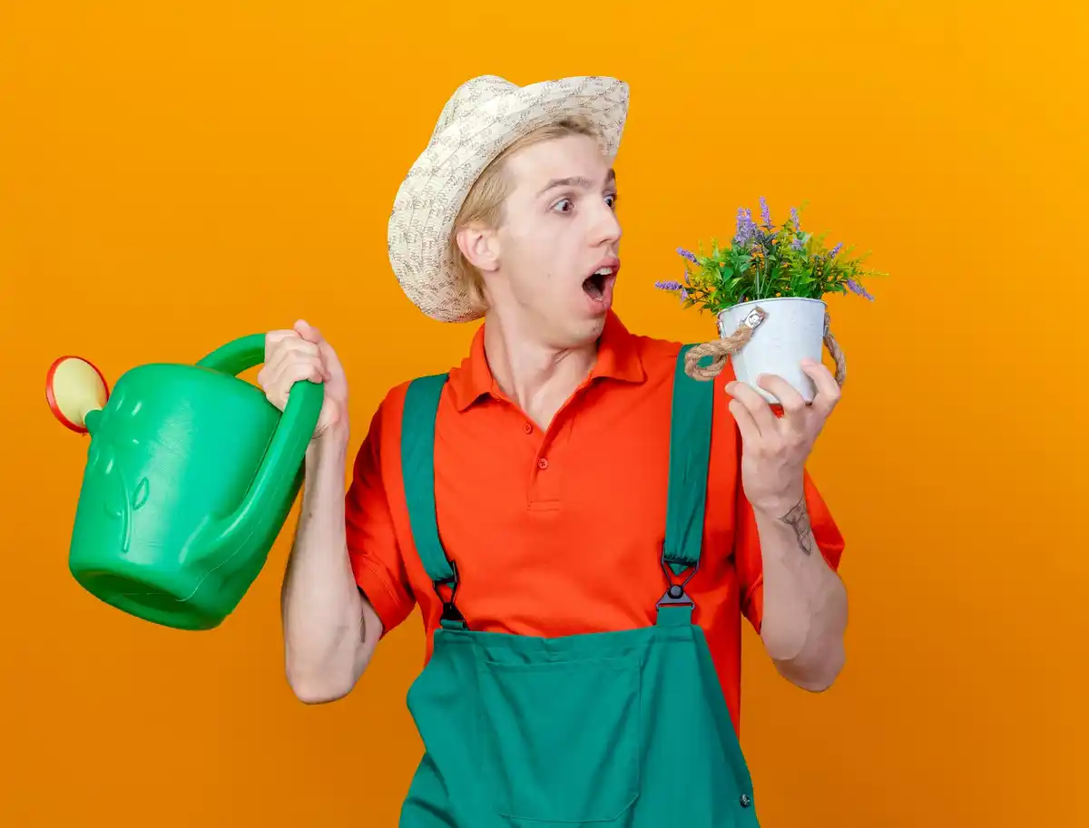 happy Dutch gardener with tomato harvest
