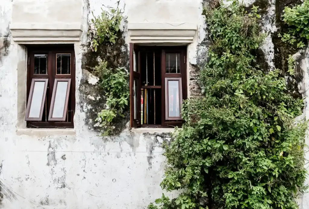 upcycled old windows greenhouse netherlands garden