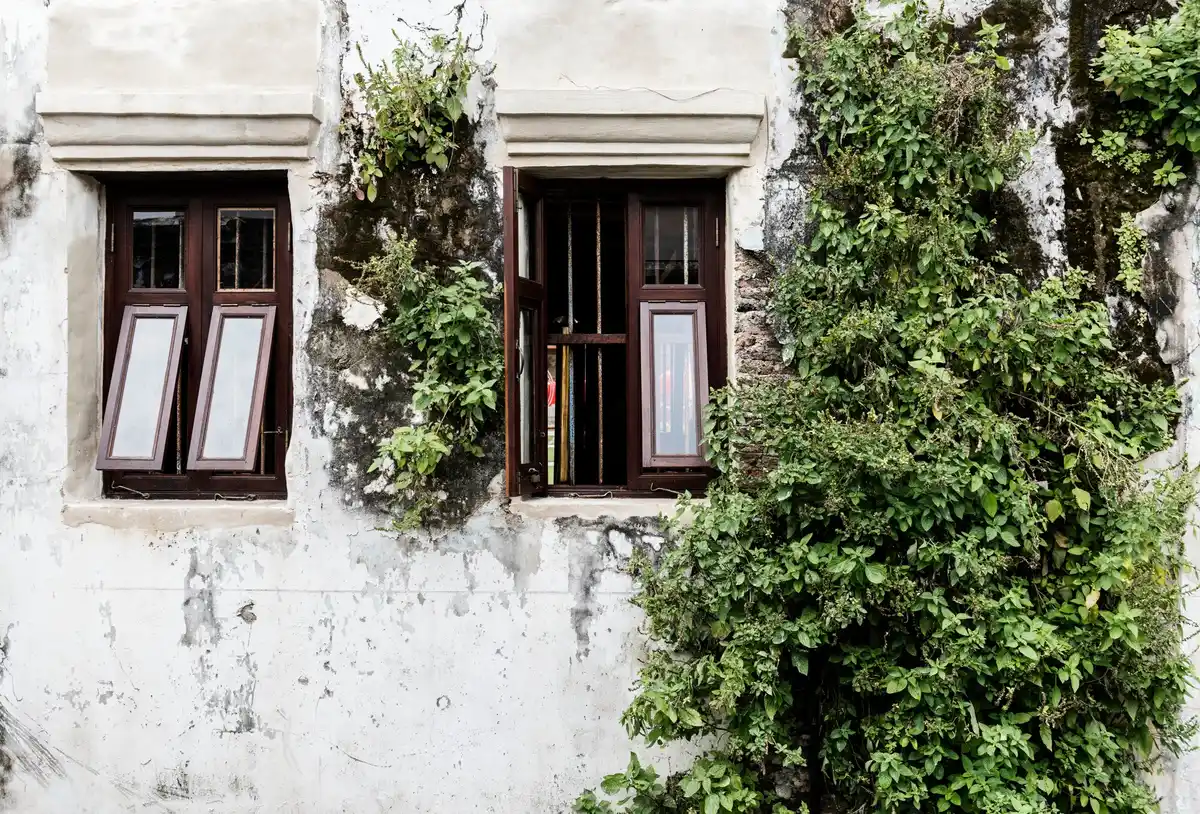 upcycled old windows greenhouse netherlands garden