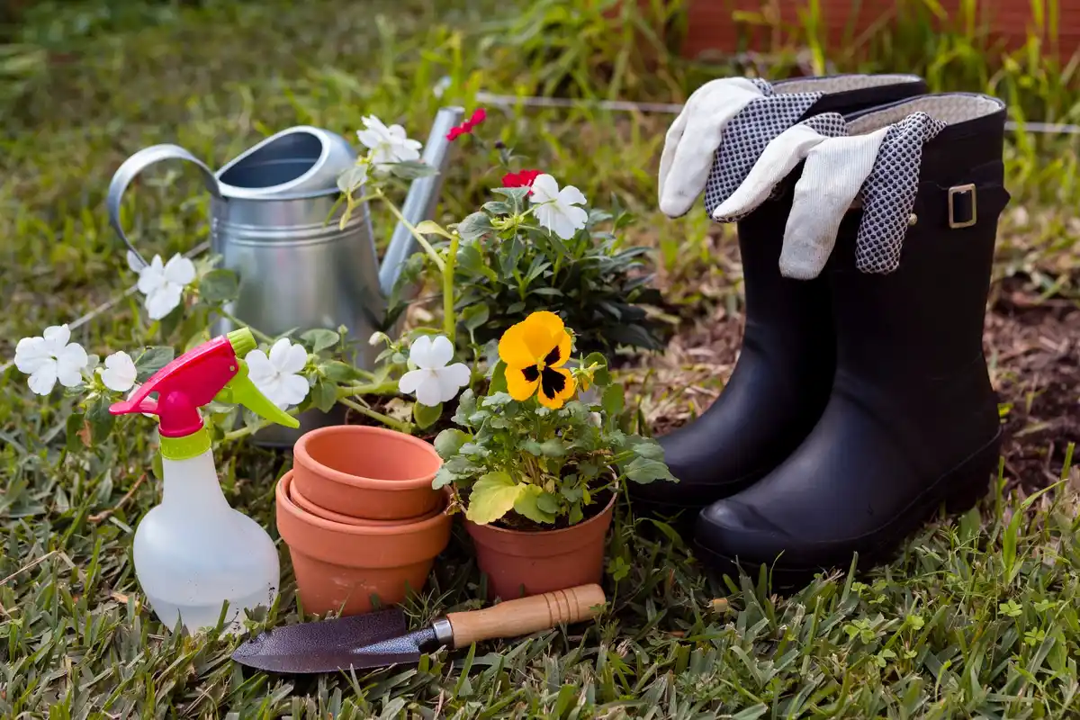 Dutch garden tools on grass