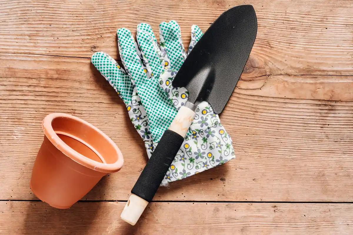 Two different garden spades on Dutch patio