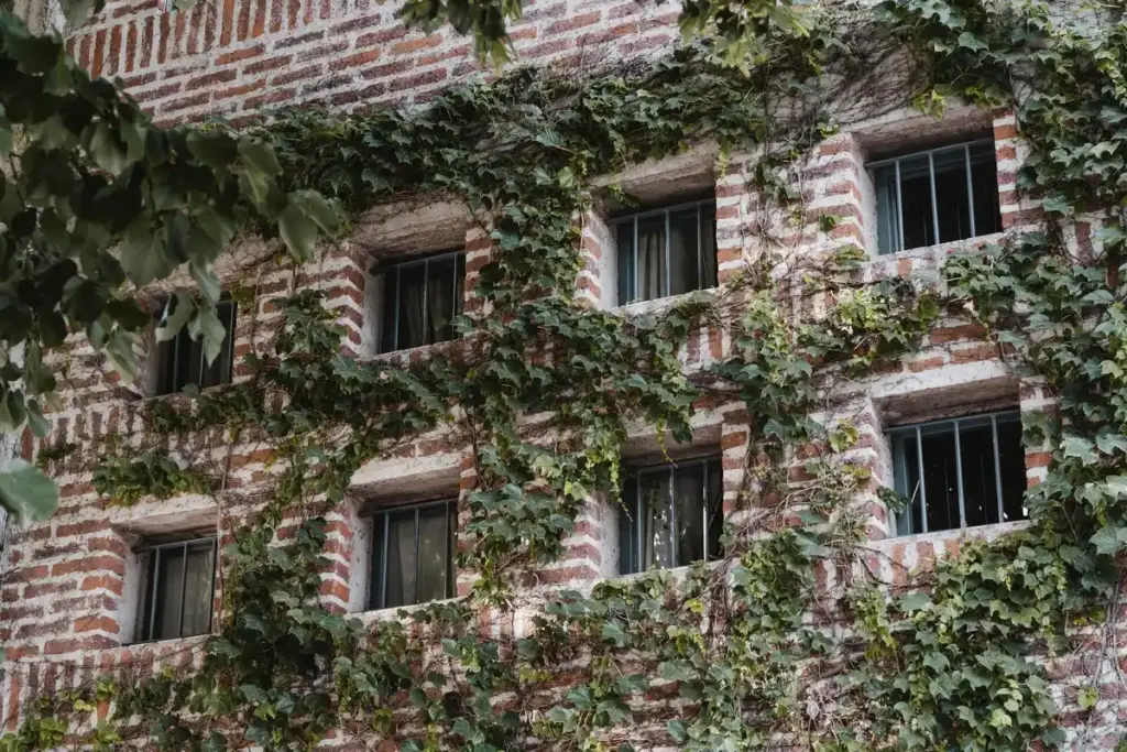 old windows greenhouse build Netherlands
