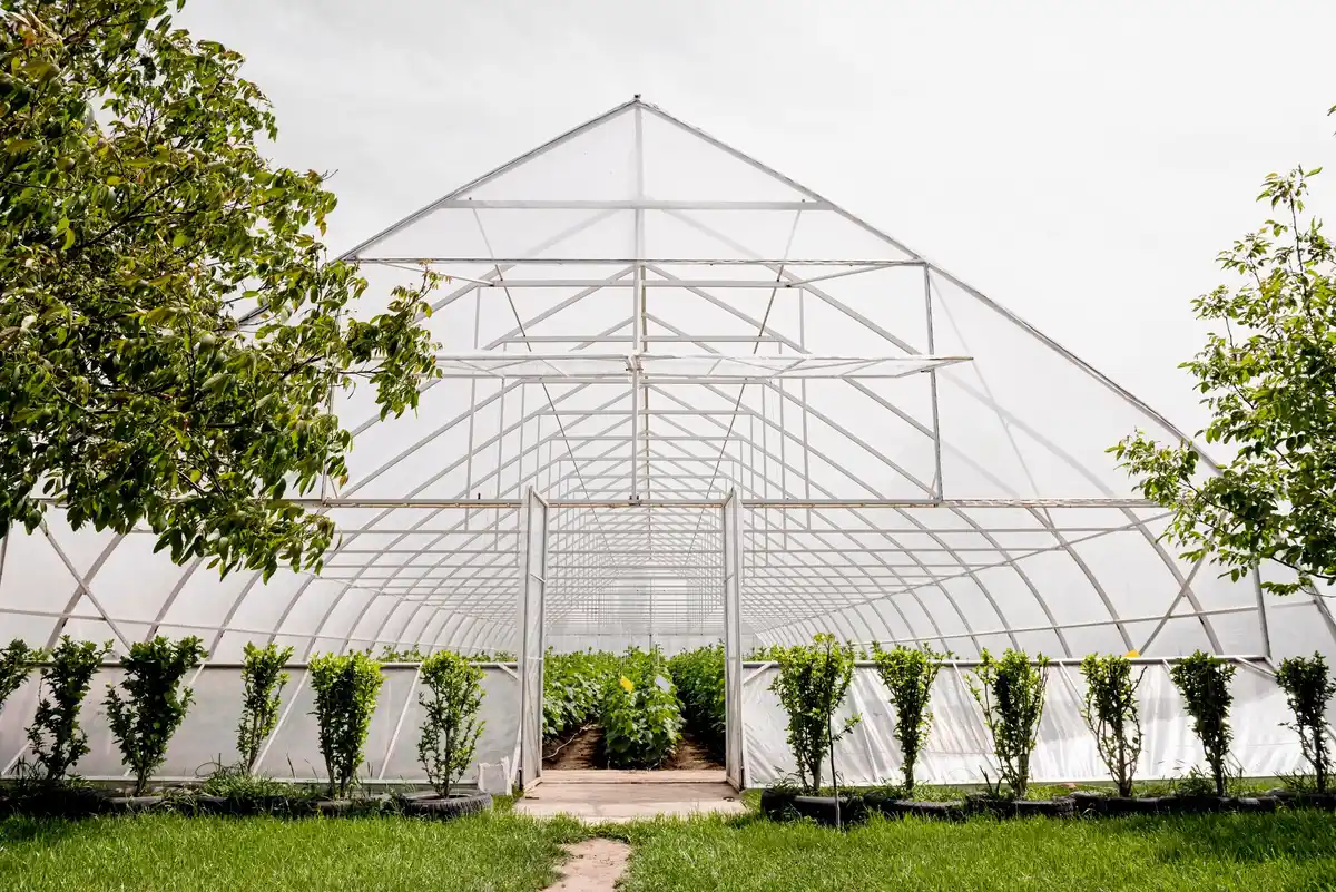 recycled windows greenhouse dutch garden