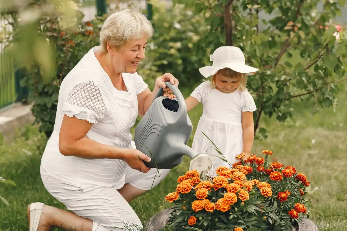 senior woman gardening lightweight tools netherlands