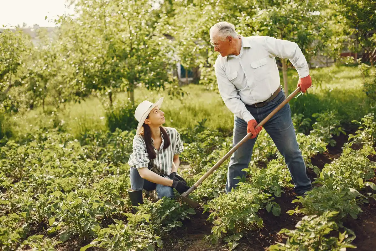 elderly dutch couple garden using modern lightweight garden tools