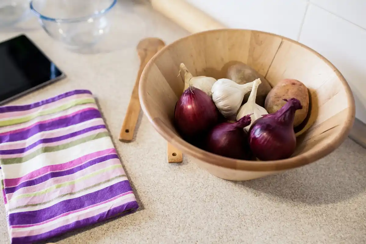 old vegetable seeds sprouting home kitchen Netherlands