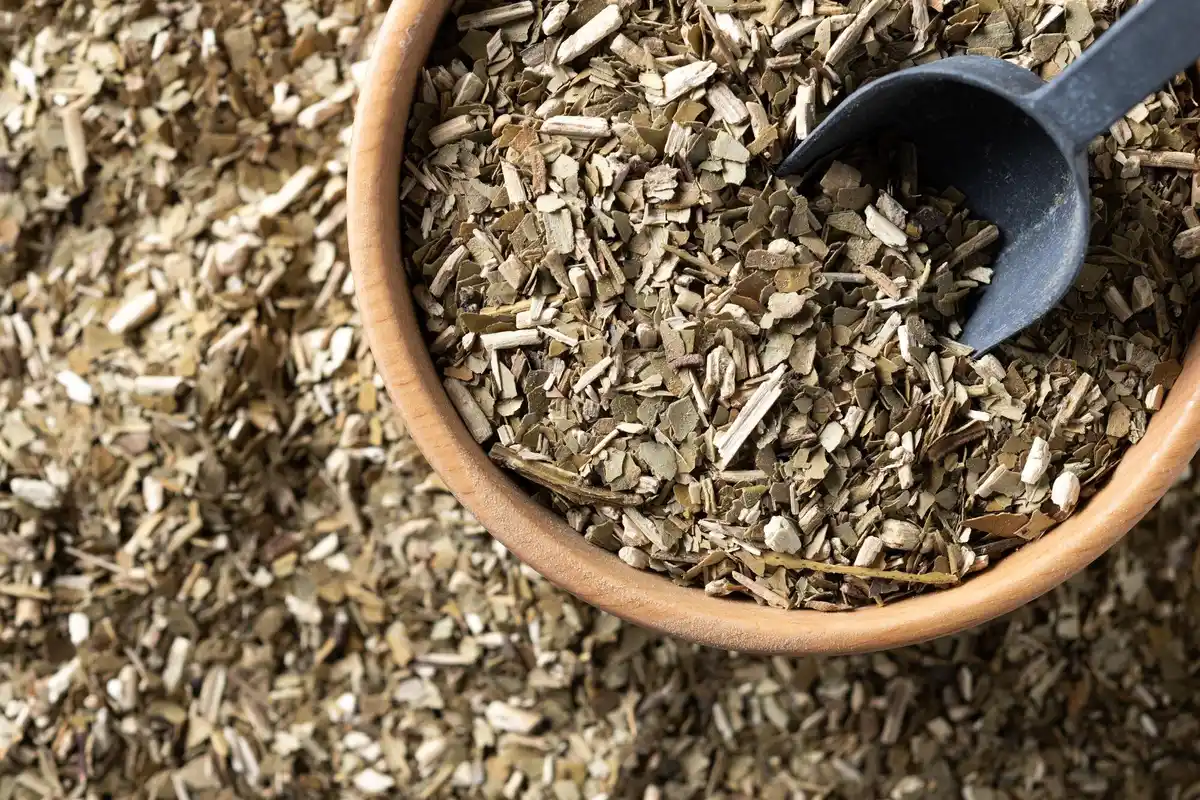 dutch seeds home storage closeup