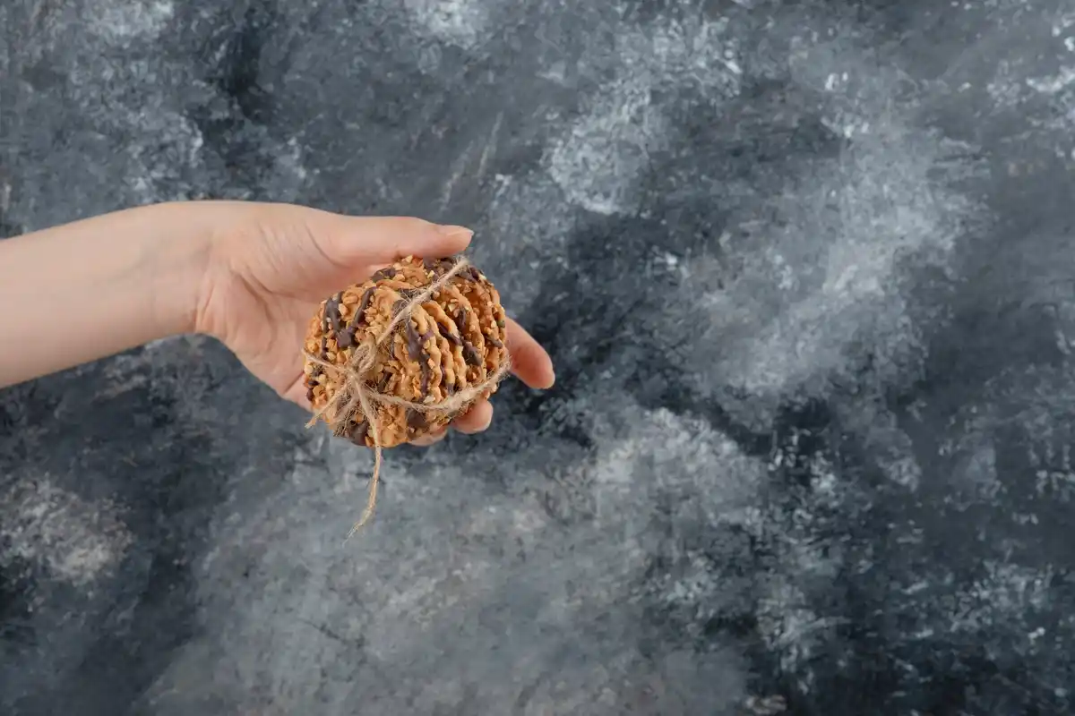old seeds sprouting in hand with kitchen background