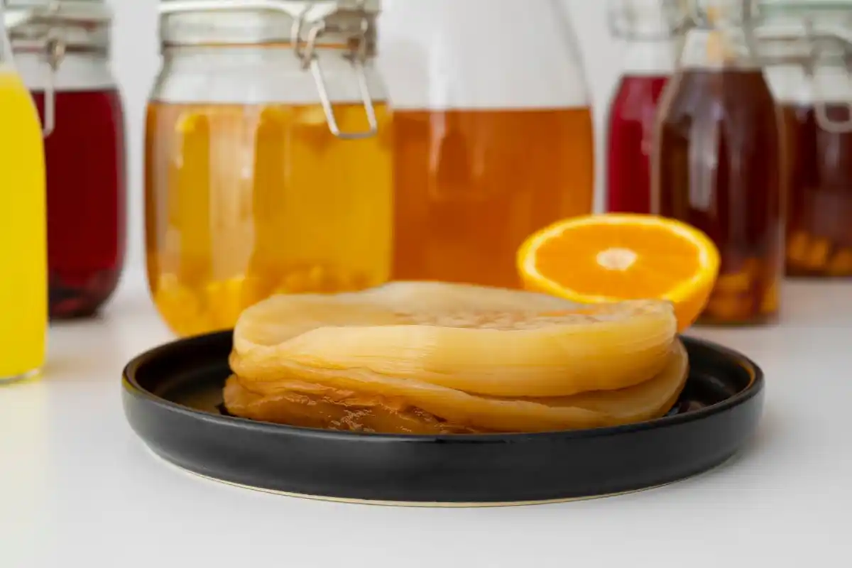 Dutch fermented food traditional homemade preserving