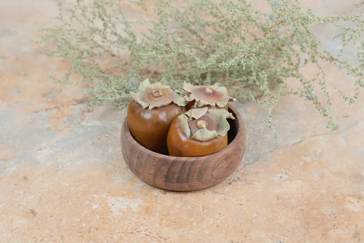 eggshells in garden with tomatoes