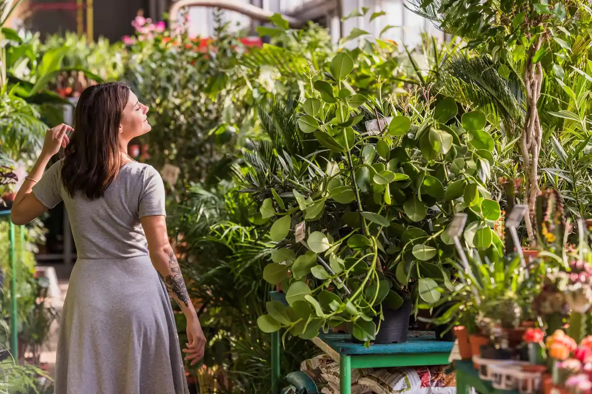 urban vertical strawberry growing Dutch balcony