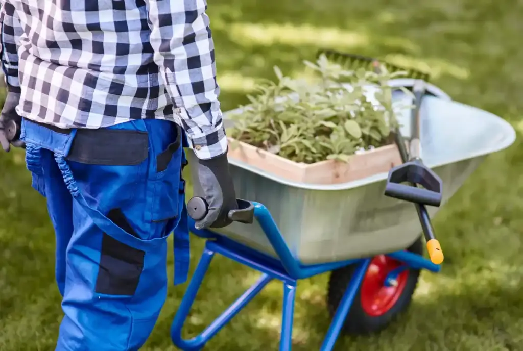 hand lawn mower in dutch backyard