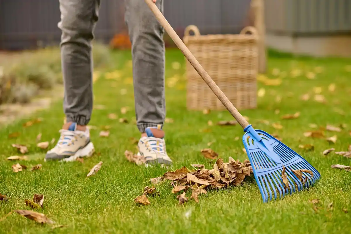 simple lawn mowing in dutch garden