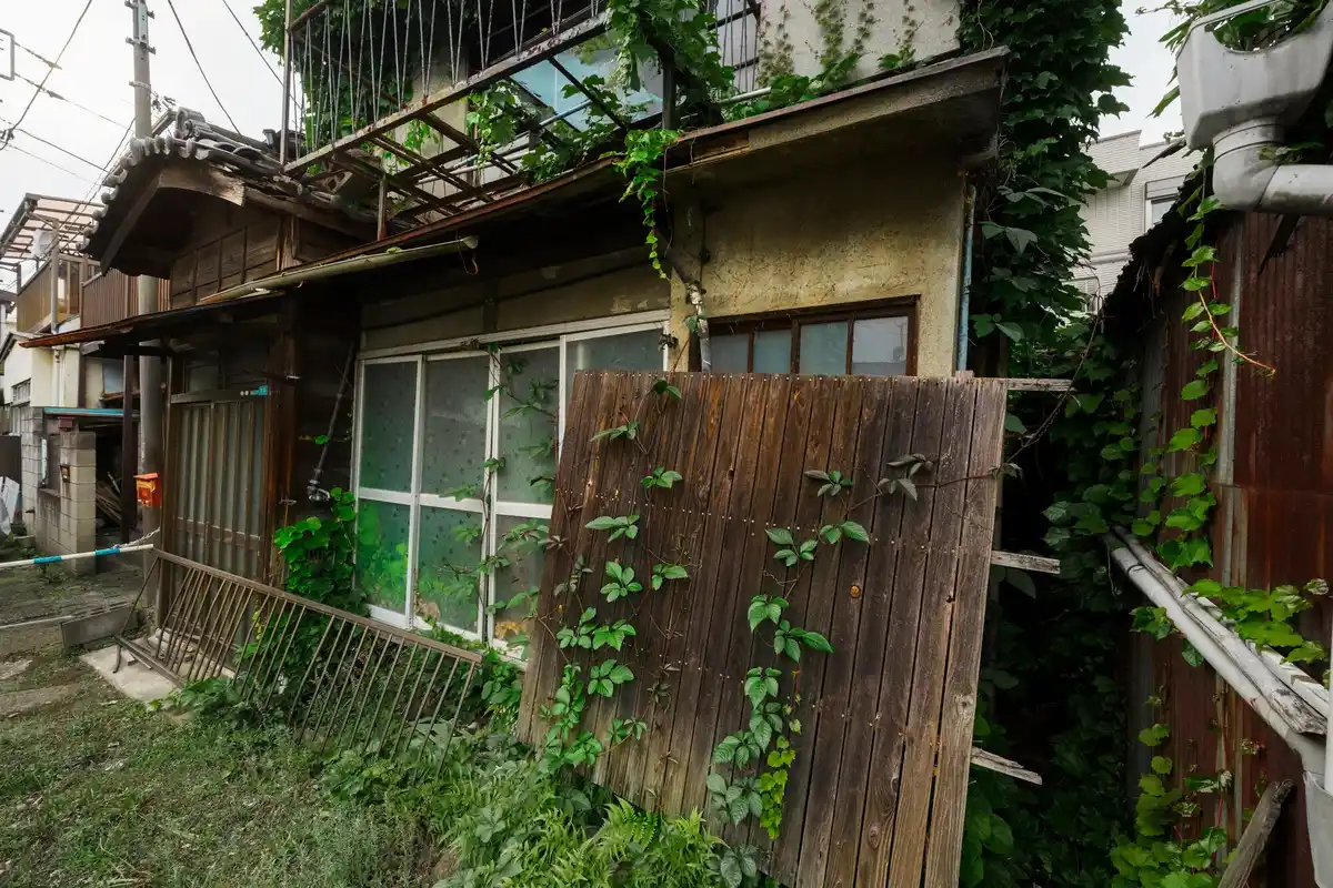 storm damaged greenhouse Netherlands backyard