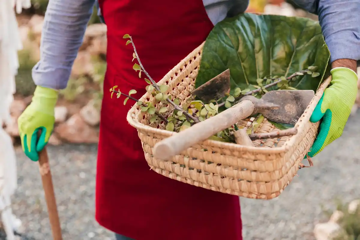 homemade natural fertilizer in Dutch garden