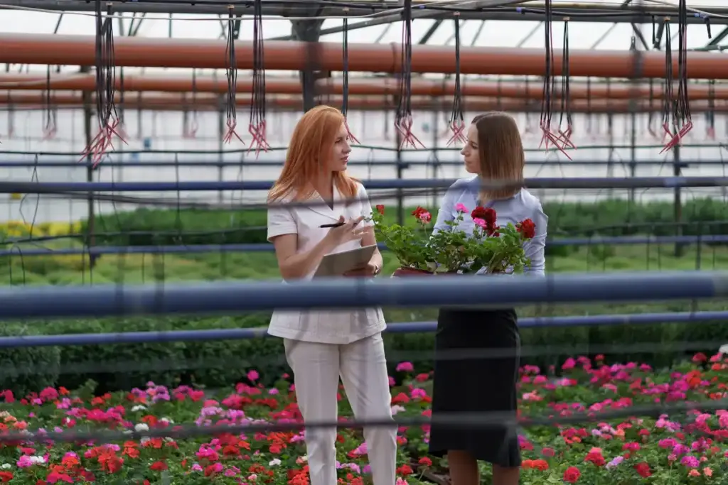 mini greenhouse on Dutch balcony with urban plants