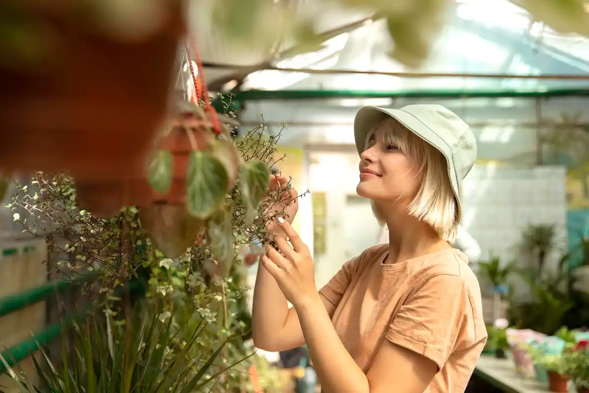 recycled window greenhouse netherlands garden diy