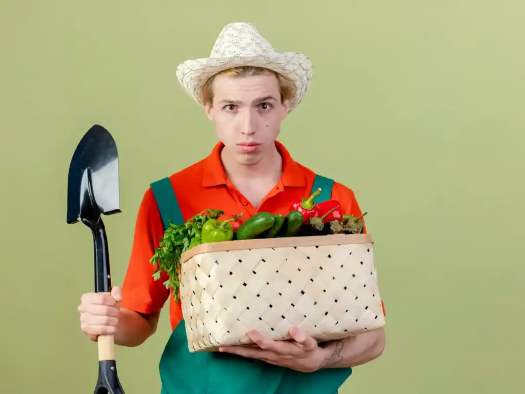 dutch supermarket gardening tools promotion