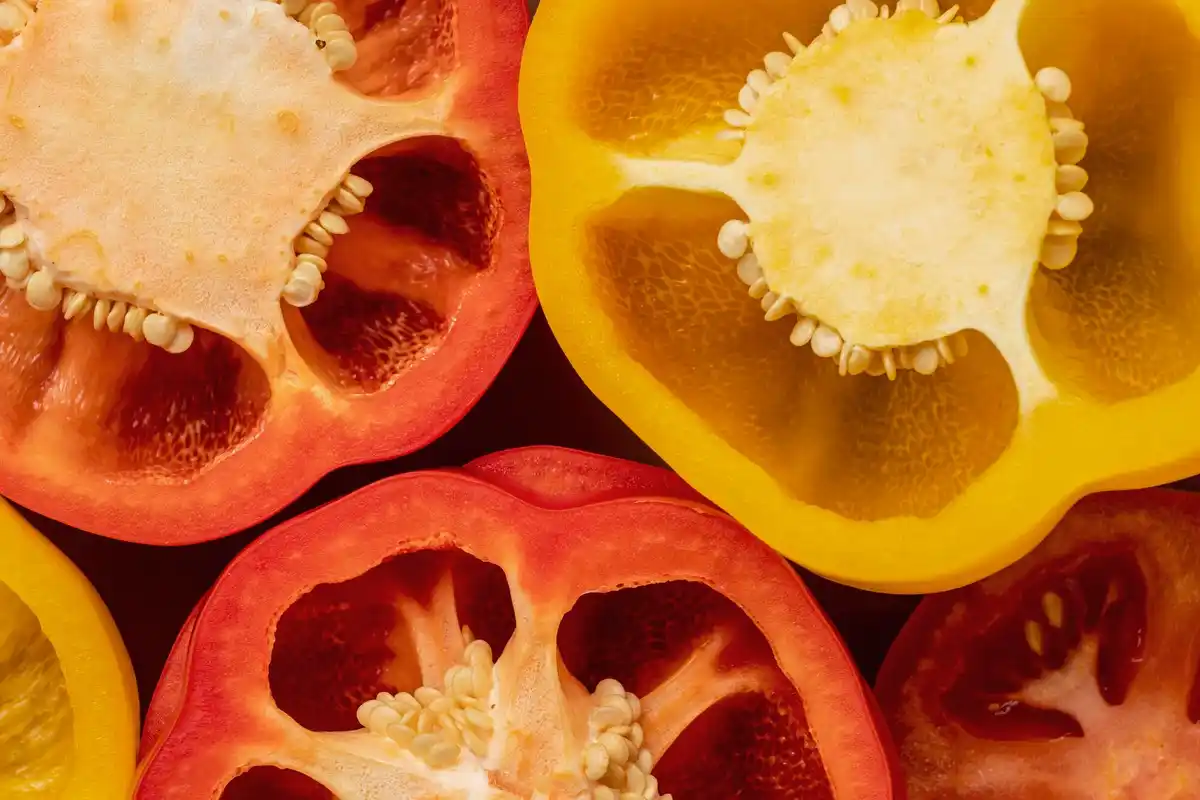 frozen tomato seeds macro netherlands