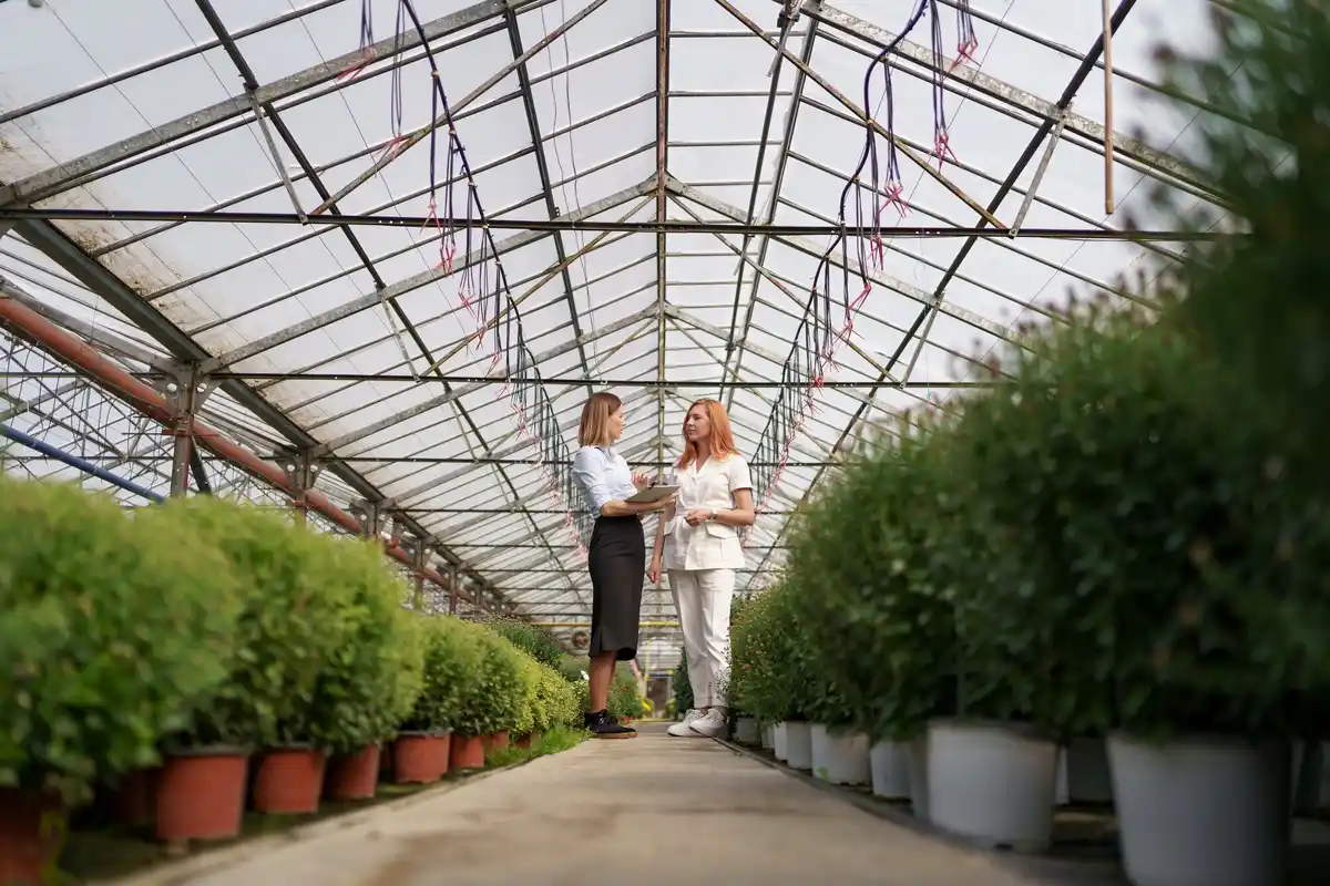 dutch greenhouse interior modern plants automation