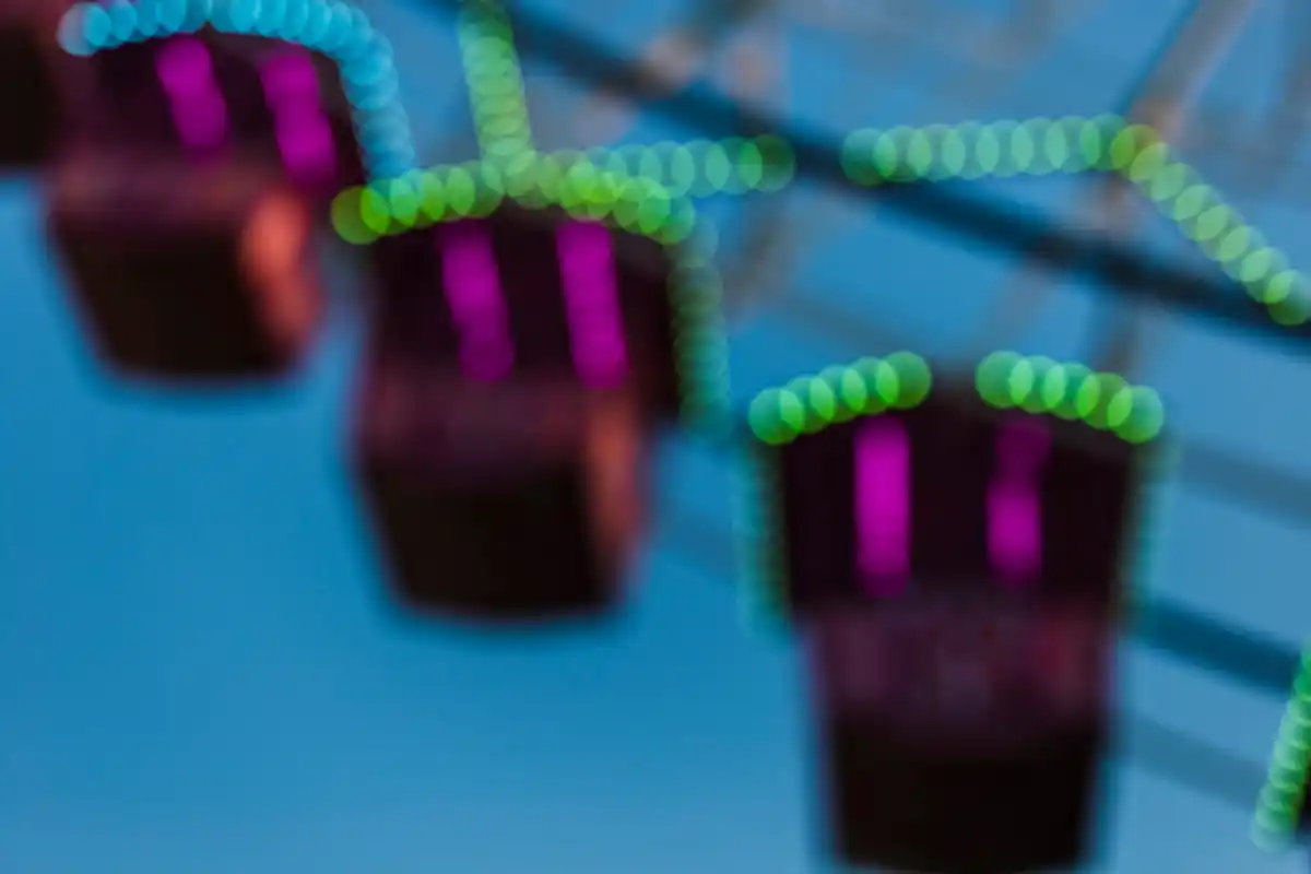 led lighting hydroponic tomatoes dutch greenhouse technology