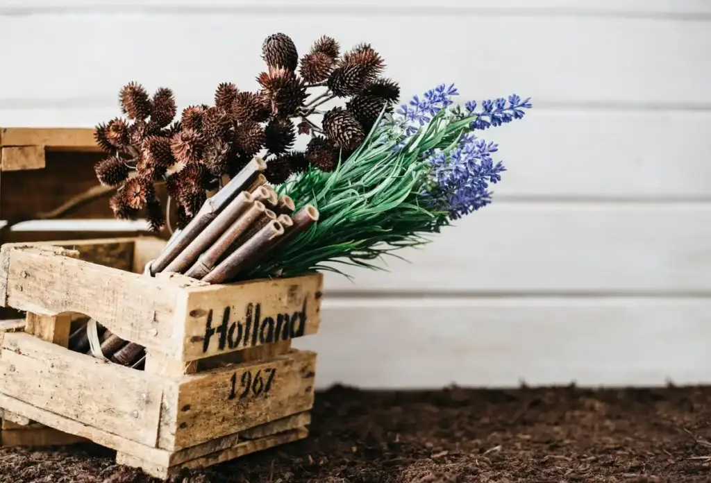 vintage heirloom seeds dutch garden