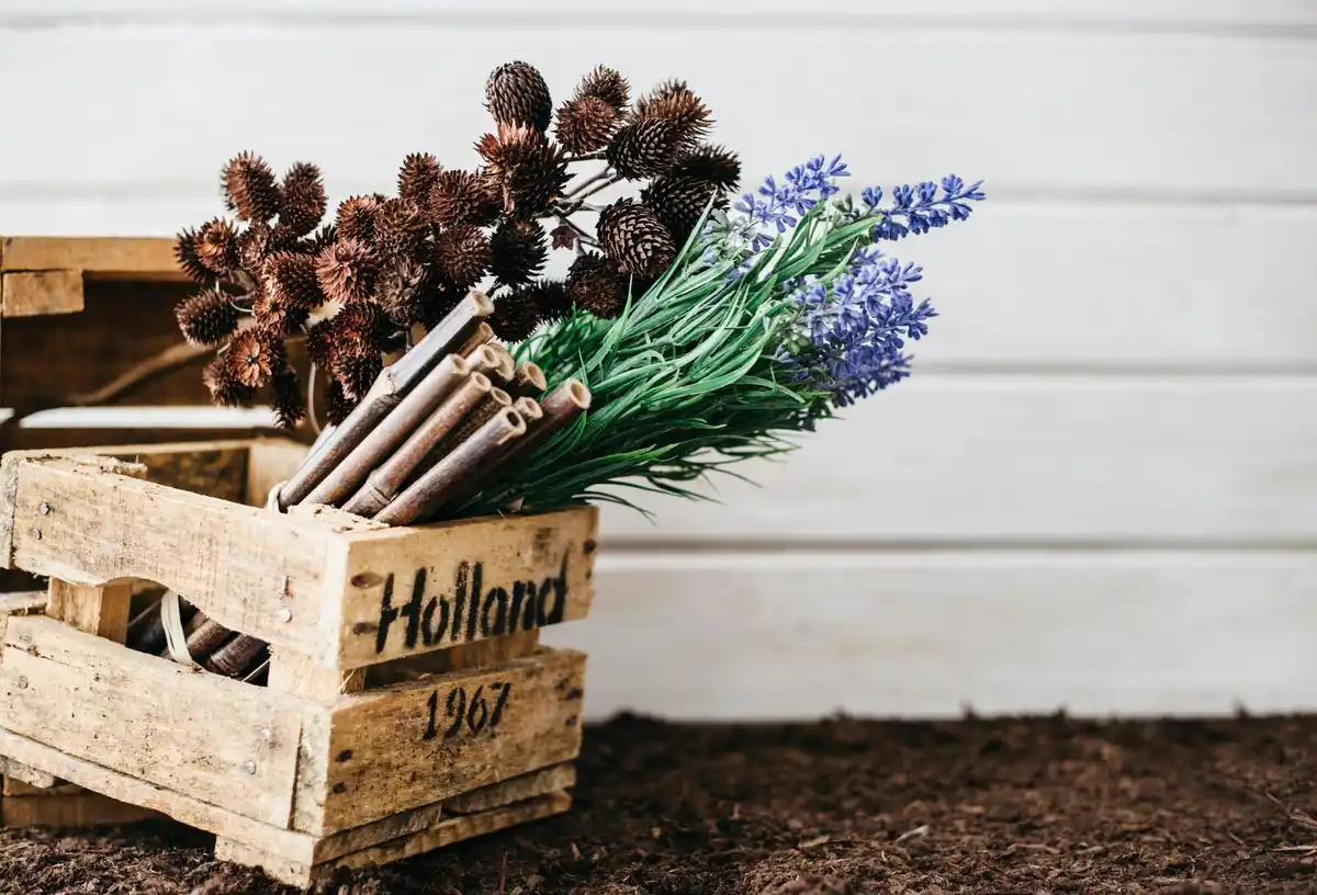 vintage heirloom seeds dutch garden