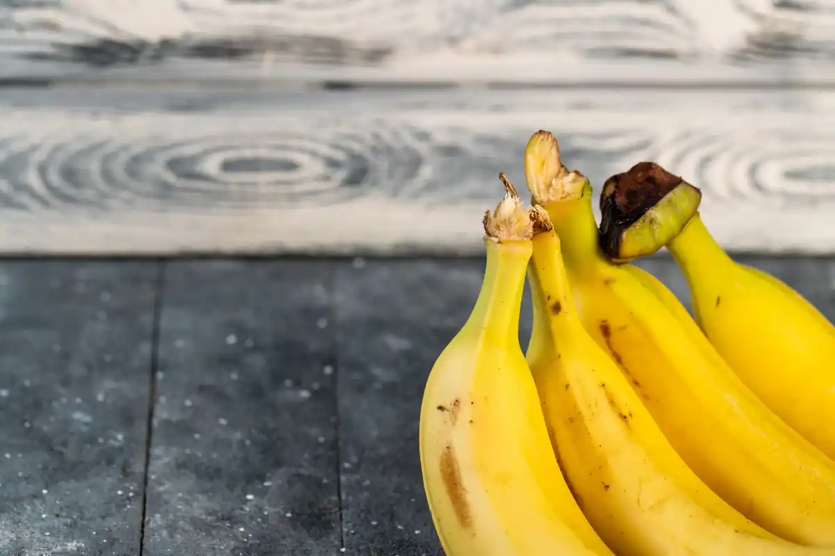 close up banana peel fertilizer in vegetable garden Netherlands