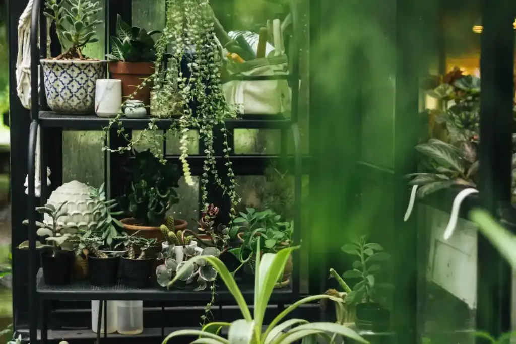 feng shui garden shed organization