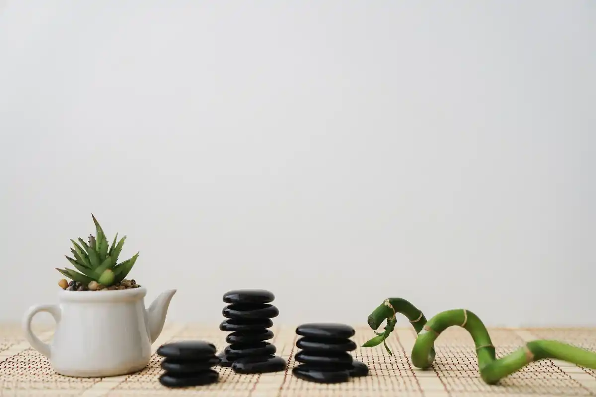 feng shui toolshed organization tidy energizing