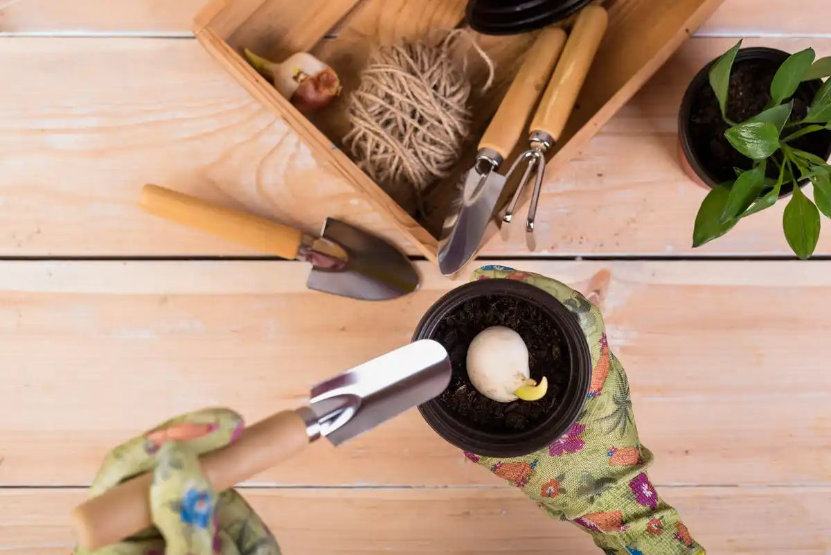 organized garden shed feng shui color sections