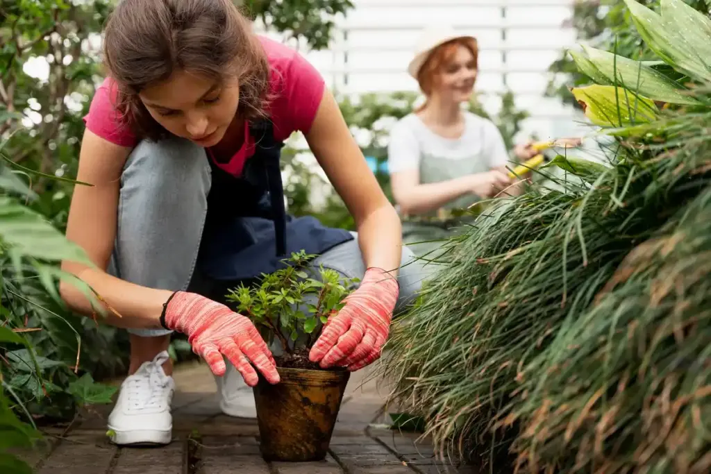 vegetable companion planting mistakes in Dutch garden