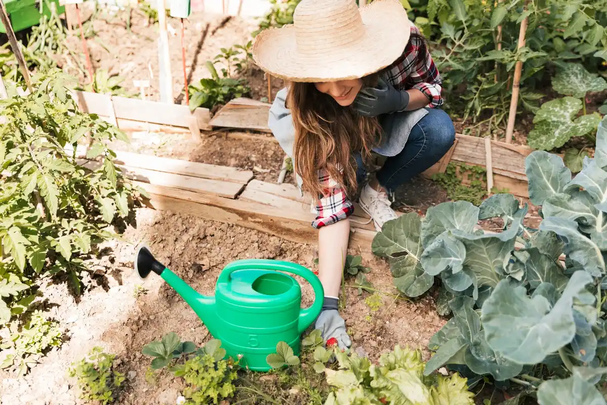 vegetable companion planting mistakes Dutch allotment