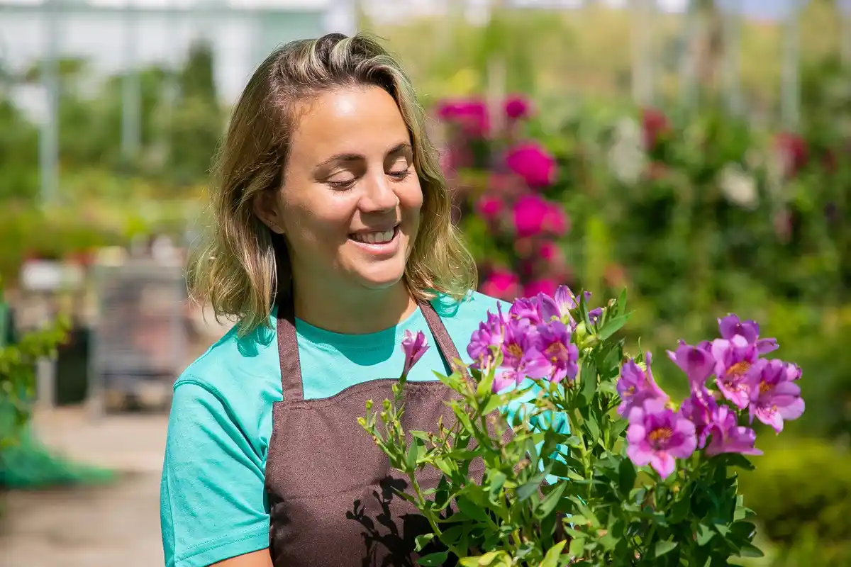 Dutch fifty year old woman gardening backyard with flowers
