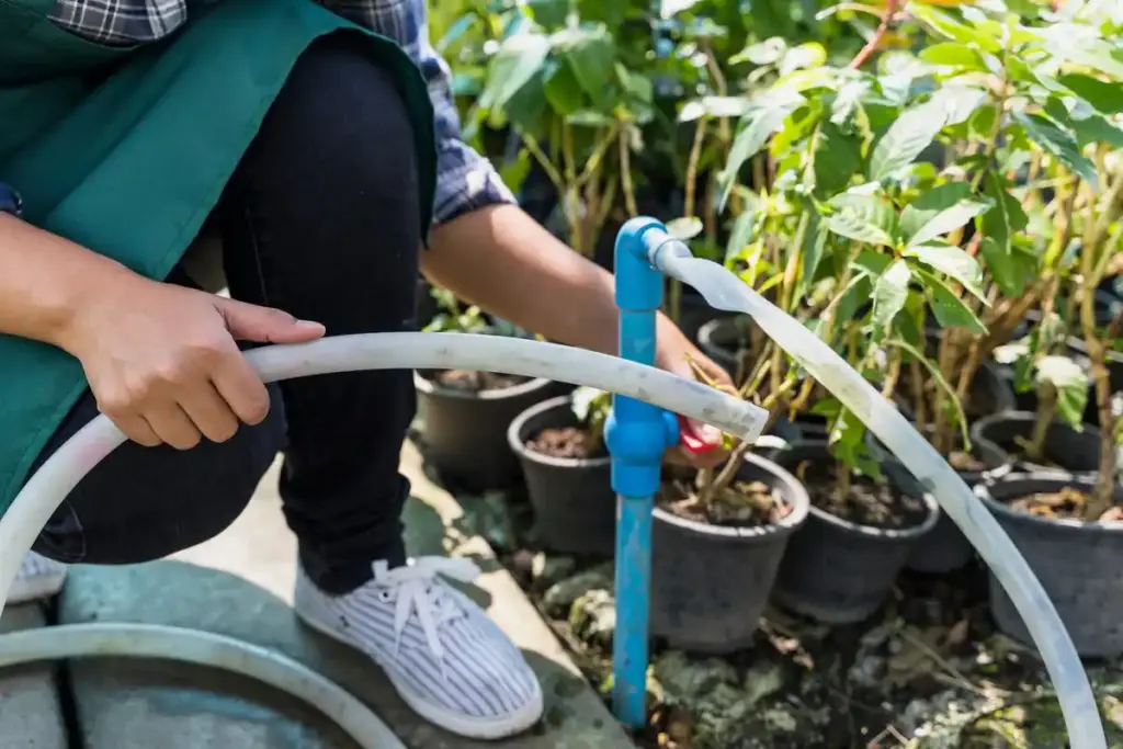 Dutch smart drip irrigation backyard system