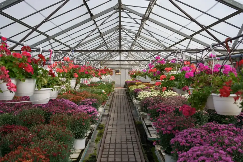 dutch greenhouse setup in winter